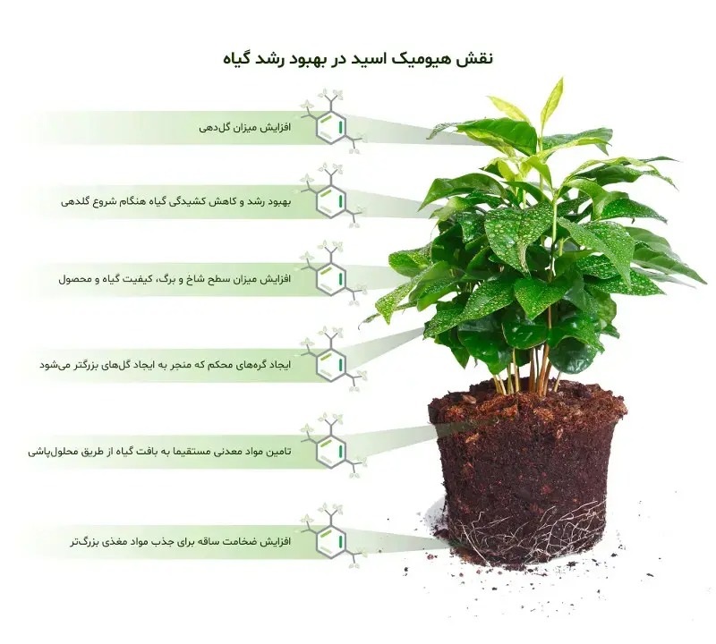 توضیح کامل هیومیک اسید با تصویر