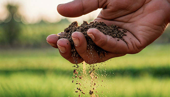 خاک مناسب و حاصلخیز